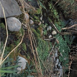 Meet your Posher, Bekkah